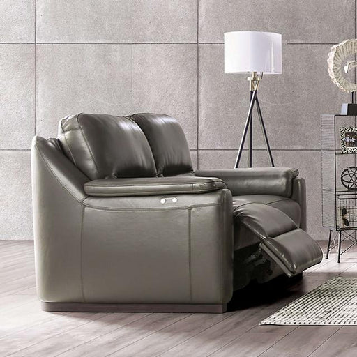 ALTAMURA Power Loveseat, Gray image